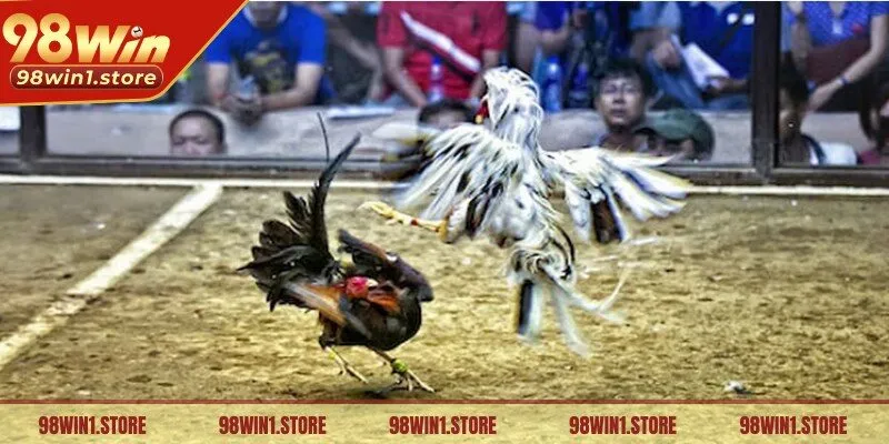 Kích thước của sàn đá nên được thiết kế sao cho có đủ không gian